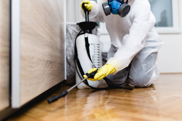 Best Wasp Removal Services  in East Dubuque, IL