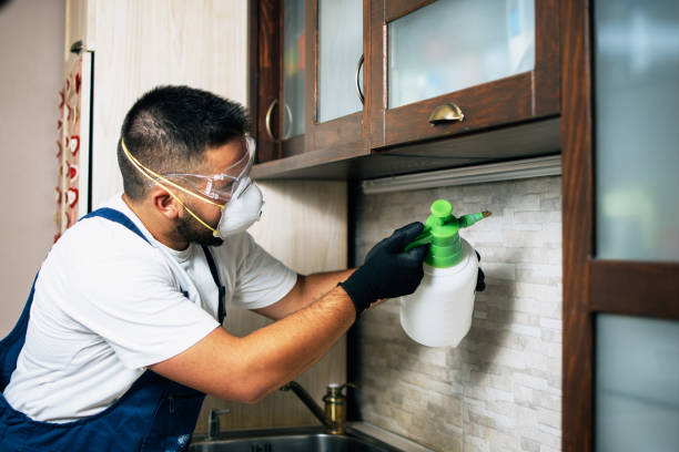 Best Rat Extermination Near Me  in East Dubuque, IL