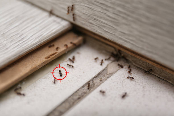East Dubuque, IL Pest Control Company