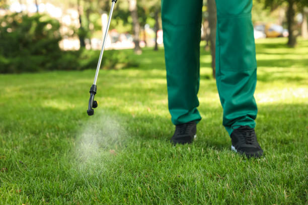 Best Spider Control Near Me  in East Dubuque, IL