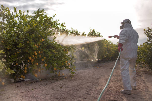 Best Best Pest Control Companies  in East Dubuque, IL