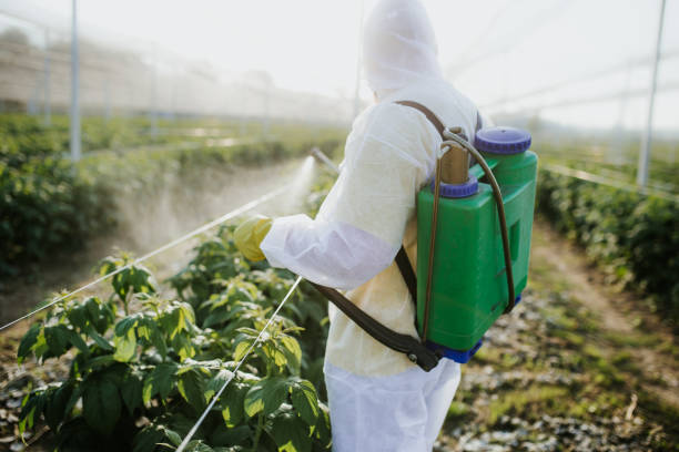Best Pest Inspection Near Me  in East Dubuque, IL